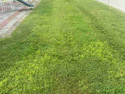 Lawn care service in Laurel, 20723