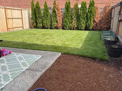 Lawn care service in Orchards, 98682