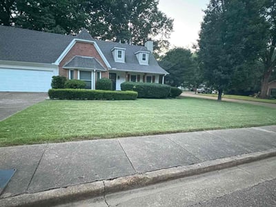 Lawn care service in Collierville, 38017
