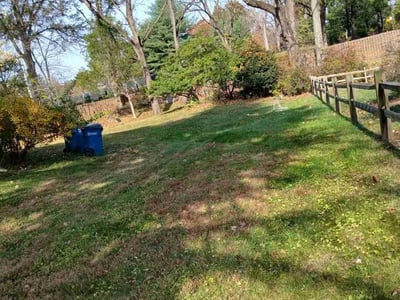 Lawn care service in Reston, 20190