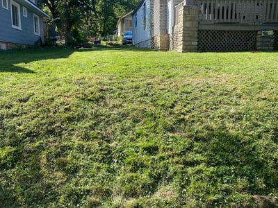 Lawn care service in Kansas City, 64131
