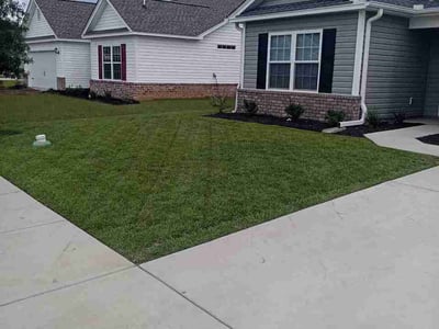 Lawn care service in Conway, 29526