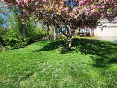 Lawn care service in Knoxville, 37923