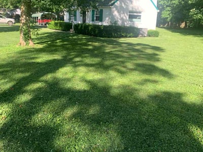 Lawn care service in Knoxville, 37920