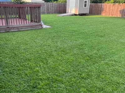 Lawn care service in Lynn Haven, 32444