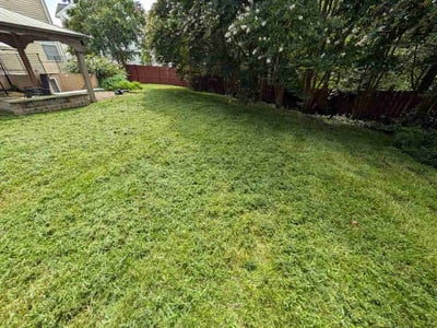 Lawn care service in Stafford, 22554
