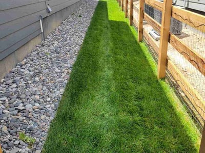 Lawn care service in Longmont, 80503