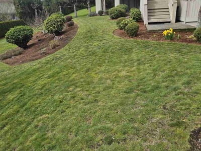 Lawn care service in Sammamish, 98074