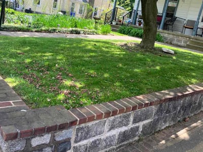 Lawn care service in Elkins Park, 19027