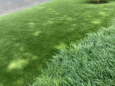 Lawn care service in Atlanta, 30305