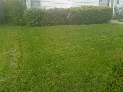 Lawn care service in Columbus, 43206