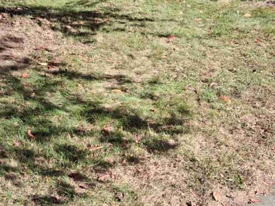 Lawn care service in Rochester, 14626