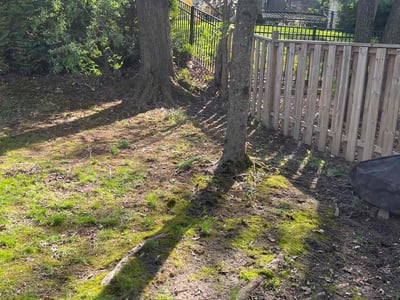 Lawn care service in Elkridge, 21075