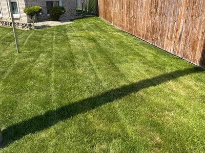 Lawn care service in South Holland, 60473