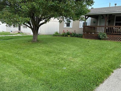 Lawn care service in Independence, 64050