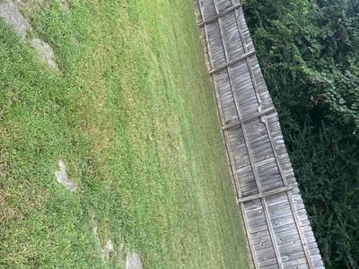 Lawn care service in Memphis, 38128