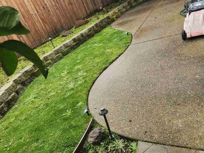 Lawn care service in Folsom, 95630