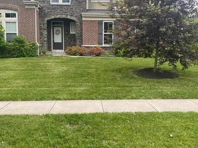 Lawn care service in Loveland, 45140