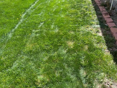 Lawn care service in Colorado Springs, 80918