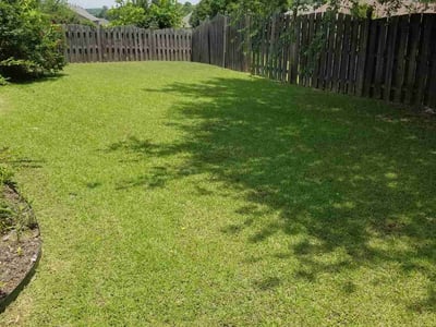 Lawn care service in Bessemer, 35022