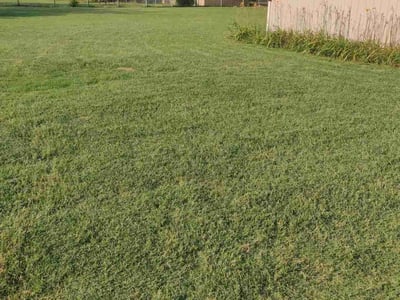 Lawn care service in Broken Arrow, 74014