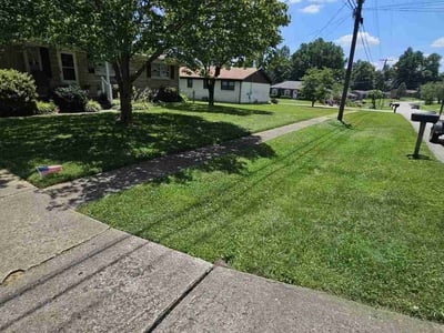 Lawn care service in Louisville, 40272