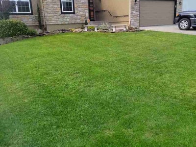 Lawn care service in Kansas City, 64145
