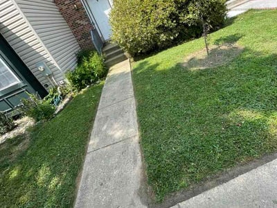 Lawn care service in Laurel, 20723