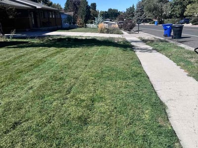 Lawn care service in Holladay, 84117