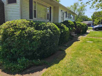 Lawn care service in Norwich, 06360