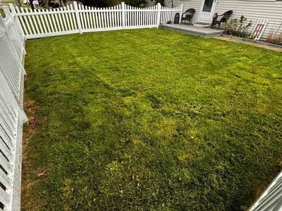 Lawn care service in Massillon, 44647
