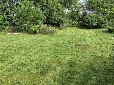 Lawn care service in Springfield, 68059