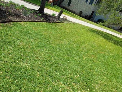 Lawn care service in Austin, 78731