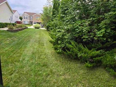 Lawn care service in Greenwood, 46143