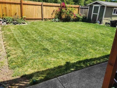 Lawn care service in Beaverton, 97006