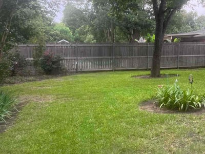 Lawn care service in Temple, 76502