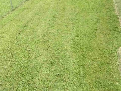 Lawn care service in Decatur, 62521