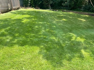 Lawn care service in Atlanta, 30318