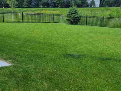 Lawn care service in Cottage Grove, 55016