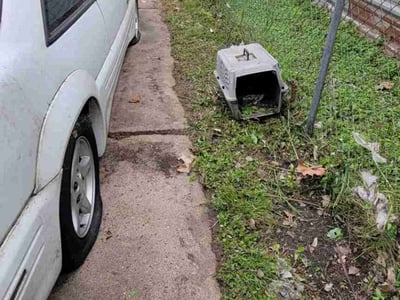 Lawn care service in Houston, 77026