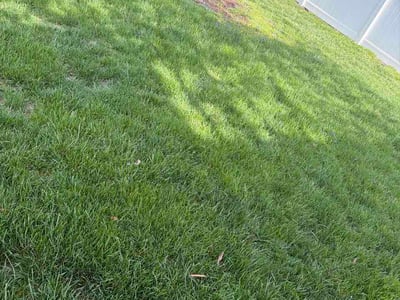 Lawn care service in Harrisburg, 17110