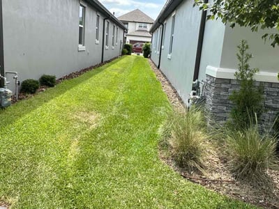 Lawn care service in Odessa, 33556