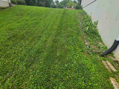 Lawn care service in Collinsville, 62234