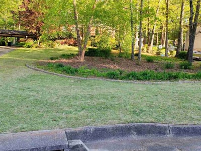Lawn care service in Birmingham, 35242