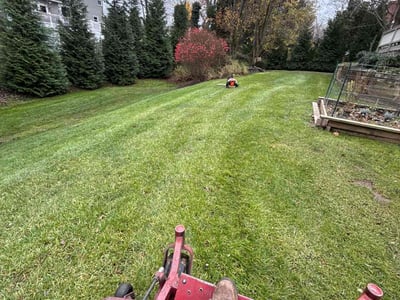 Lawn care service in Ellicott City, 21042