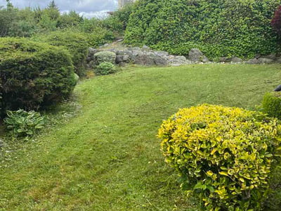 Lawn care service in Des Moines, 98198