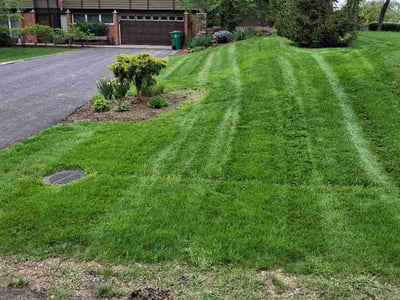 Lawn care service in Tinley Park, 60477