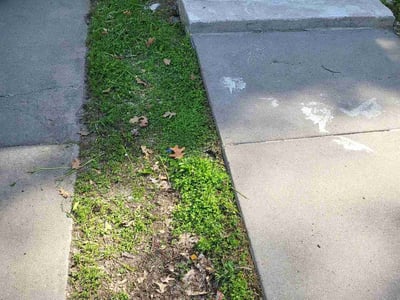 Lawn care service in Minneapolis, 55411