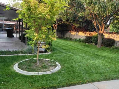 Lawn care service in West Valley City, 84120