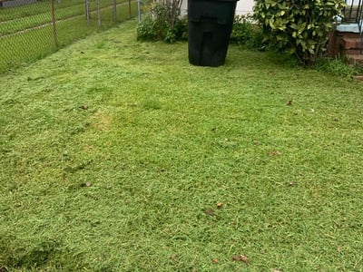 Lawn care service in Portsmouth, 23702